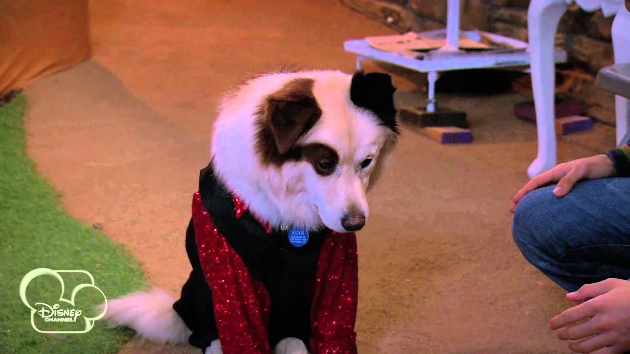 Dog with a Blog 2012  [S01E21] - My Parents Posted What?!
