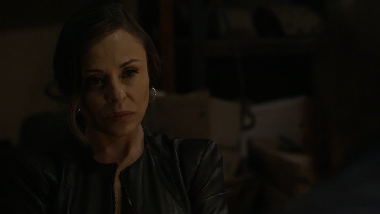 El Señor de los Cielos 2018  [S06E29] - Episode 29