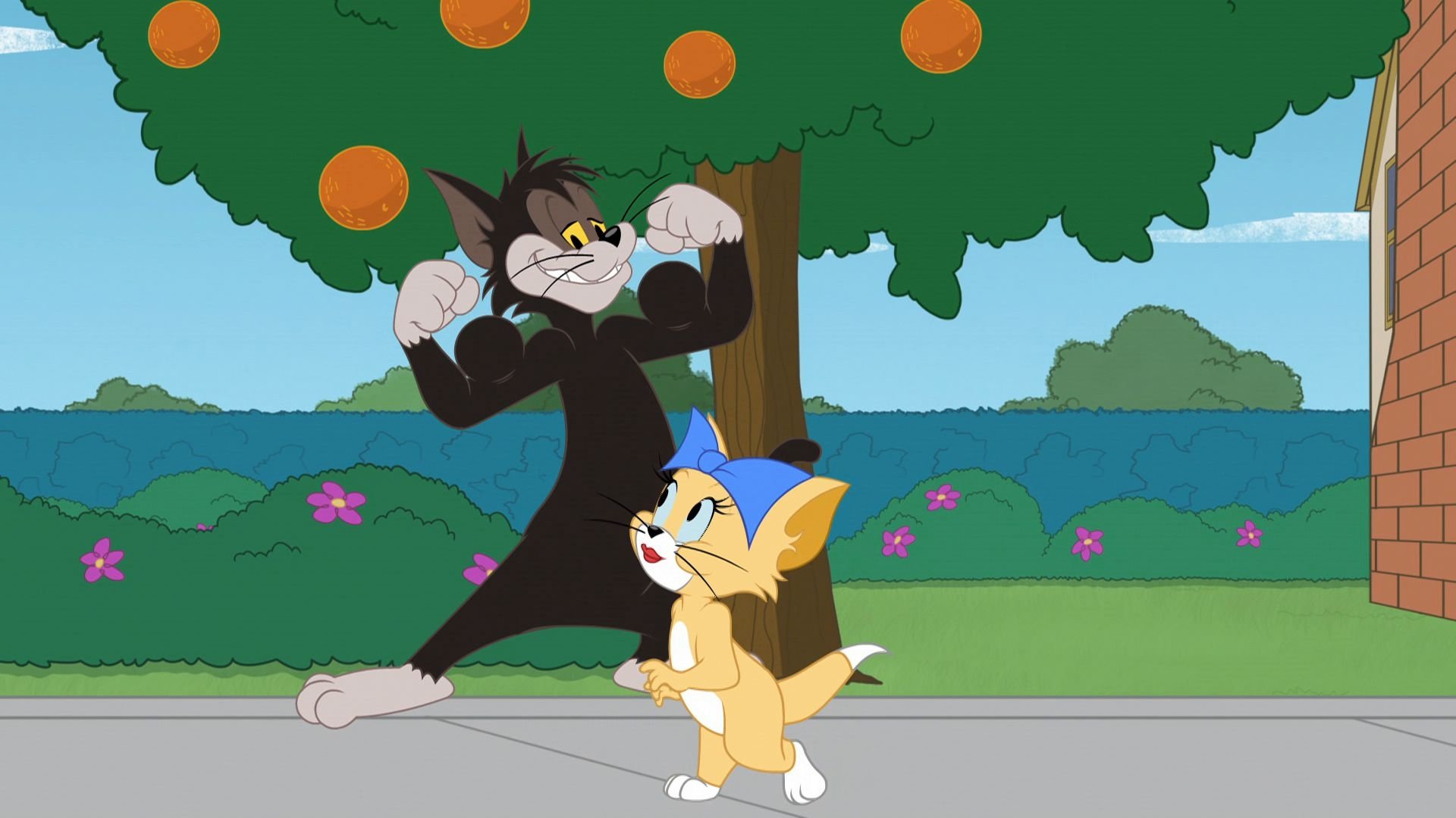 The Tom and Jerry Show 2016  [S02E76] - Cat Match Fever