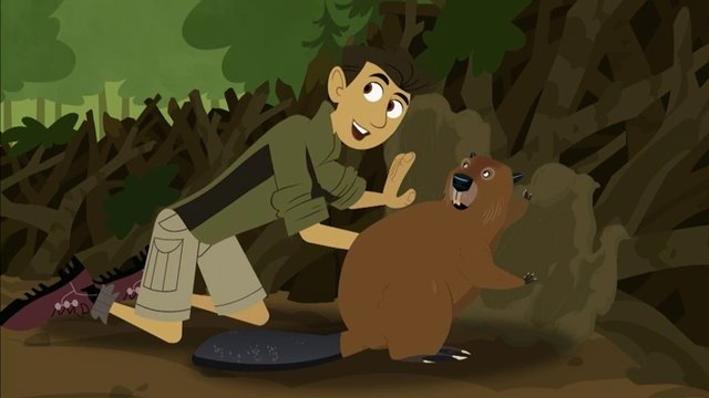 Wild Kratts 2010  [S01E08] - Build It Beaver
