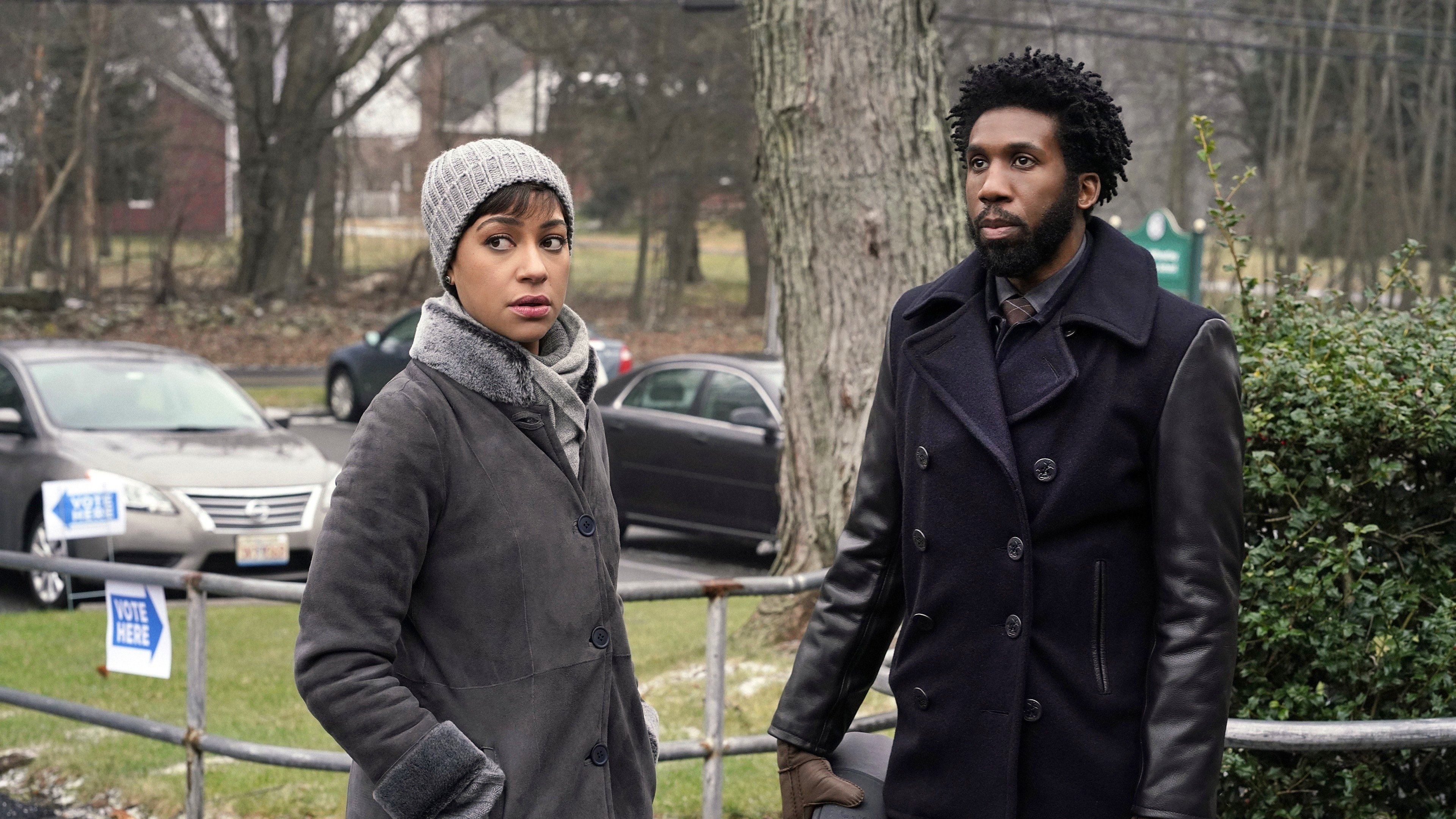 The Good Fight 2019  [S03E05] - The One Where a Nazi Gets Punched