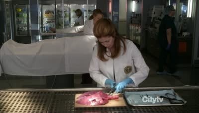 Body of Proof 2011  [S02E03] - Missing