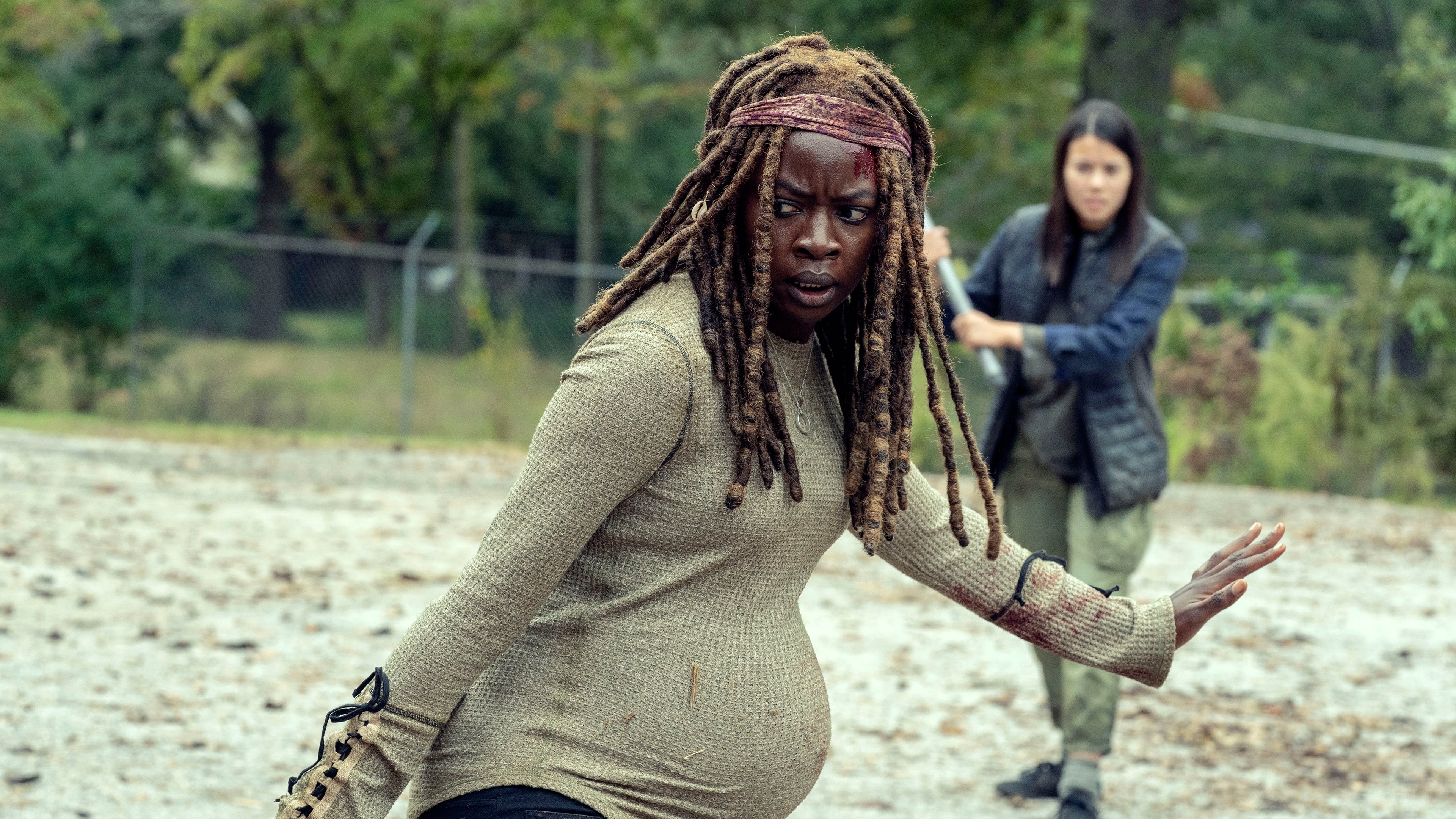 The Walking Dead 2018  [S09E14] - Scars