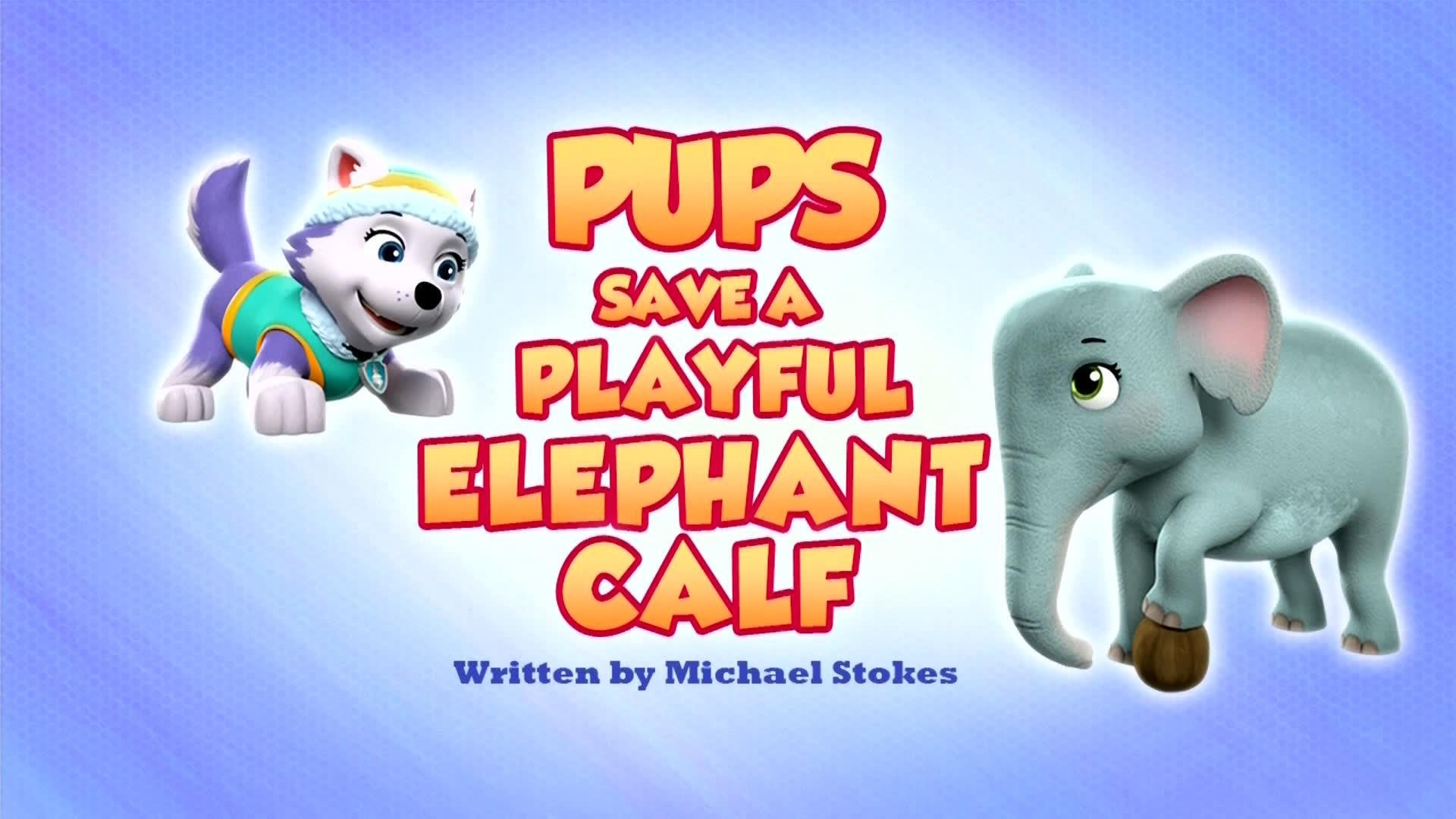 PAW Patrol 2022  [S09E21] - Pups Save a Playful Elephant Calf