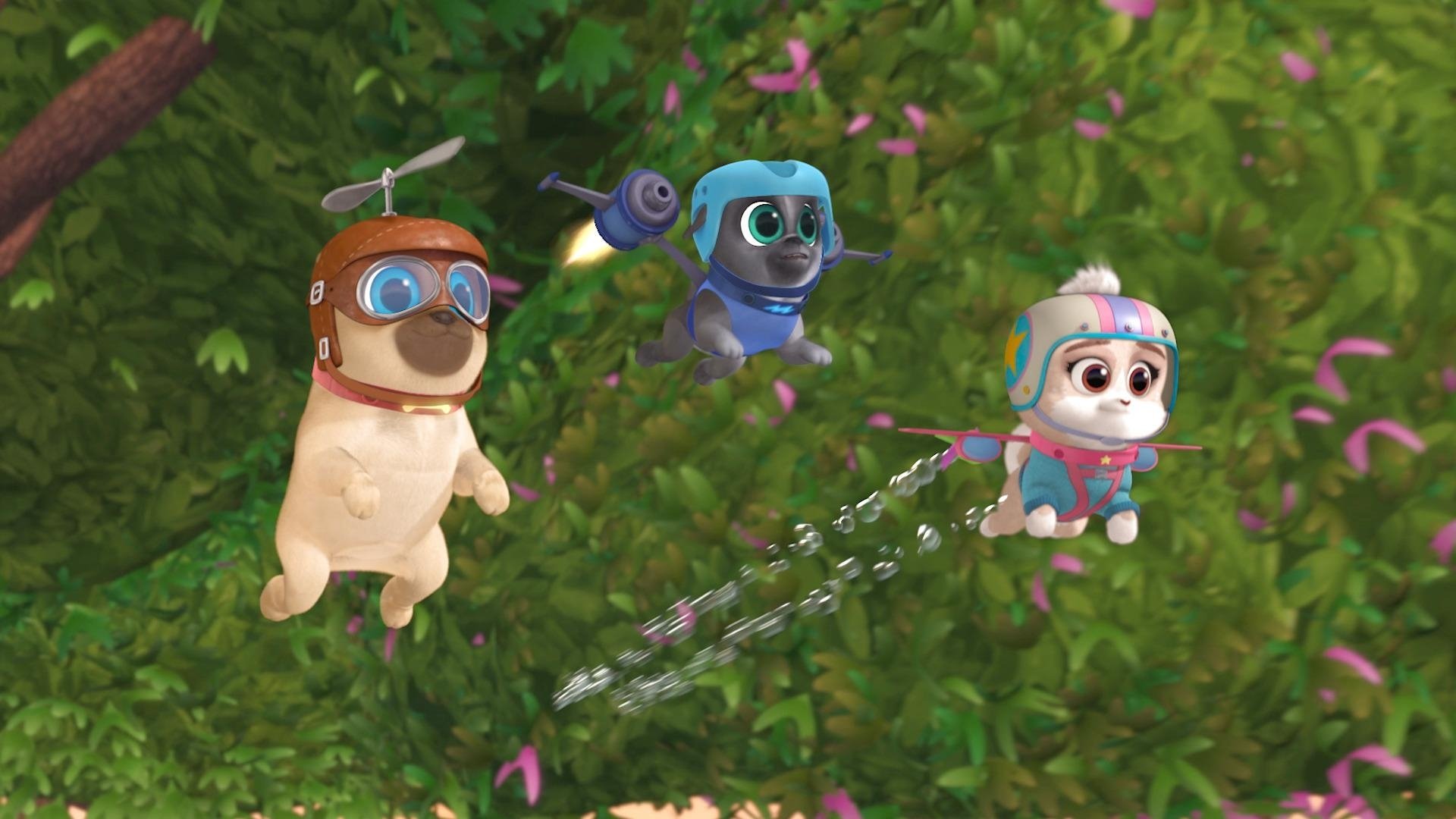 Puppy Dog Pals 2018  [S02E11] - Operation: Dinner