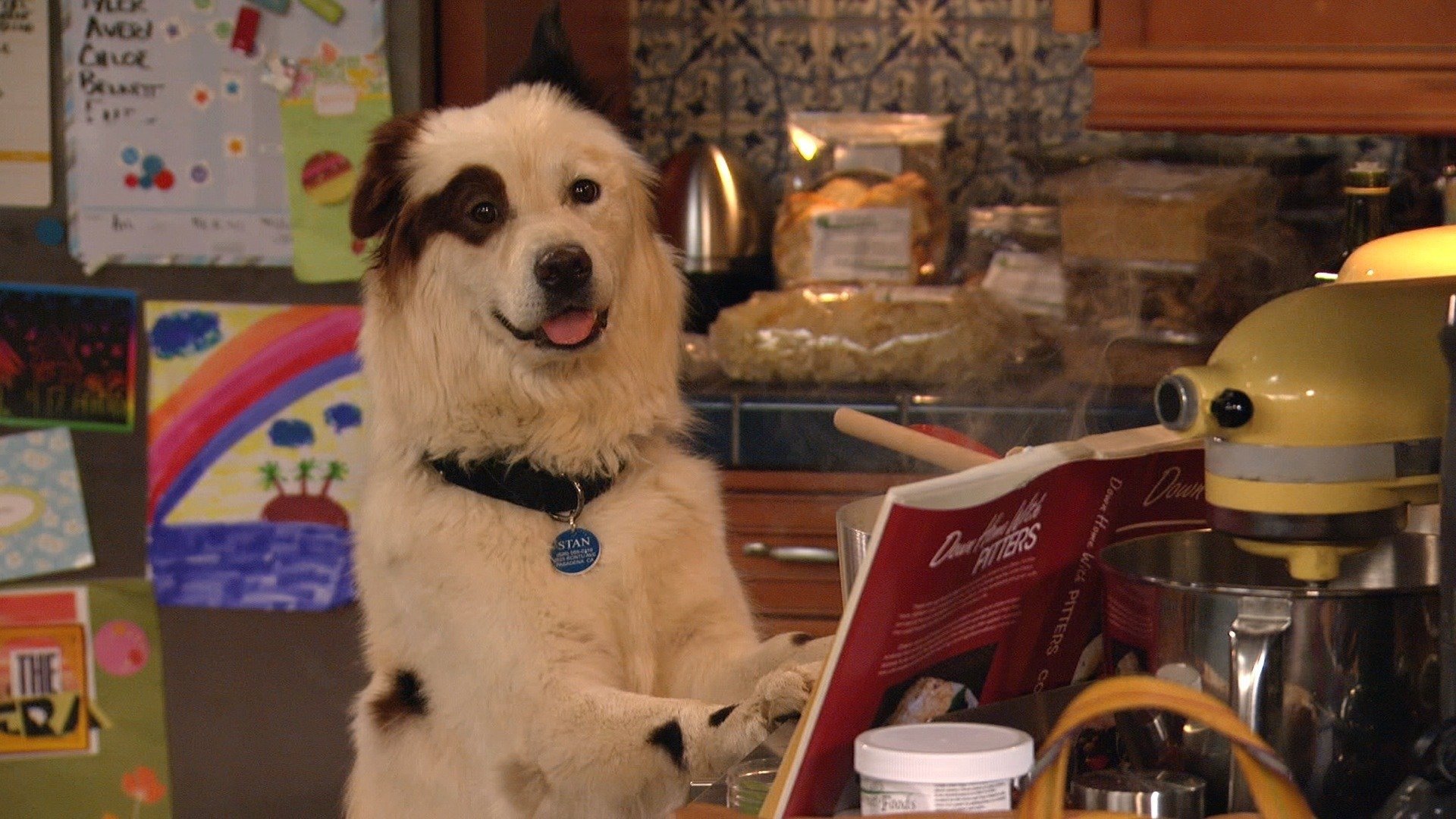 Dog with a Blog 2013  [S02E12] - I Want My Nikki Back, Nikki Back, Nikki Back