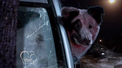 Dog with a Blog 2012  [S01E02] - The Fast and the Furriest