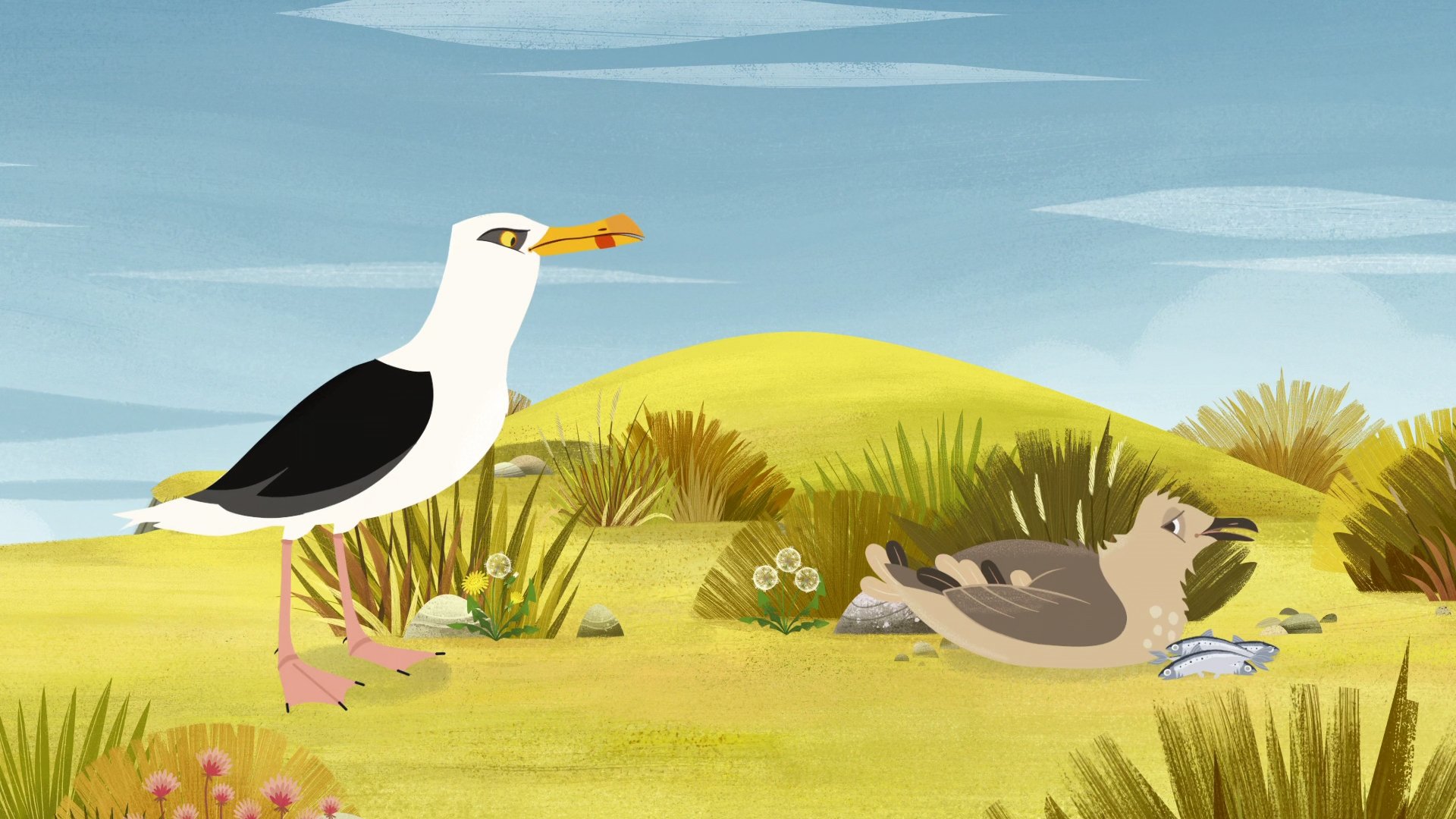 Puffin Rock 2016  [S02E06] - The Great Gull
