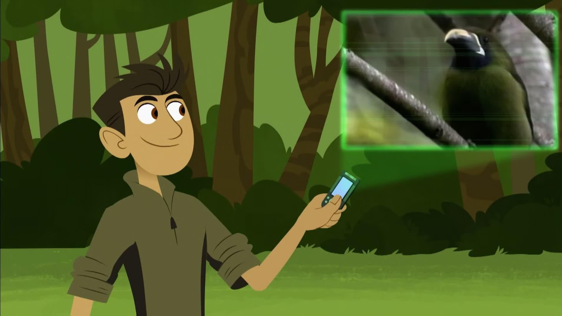 Wild Kratts 2010  [S01E19] - Falcon City