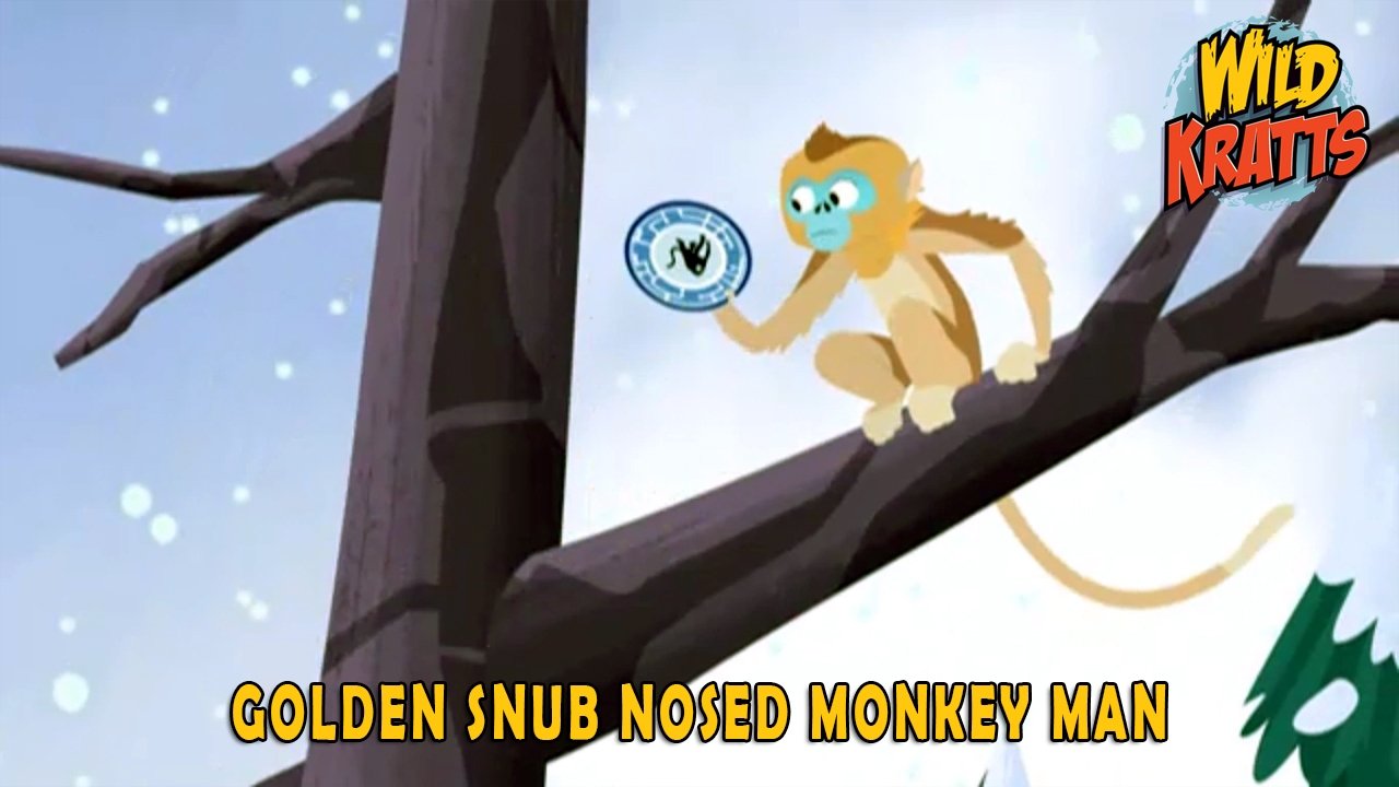 Wild Kratts 2016  [S04E10] - Golden Snub Nosed Monkey Man
