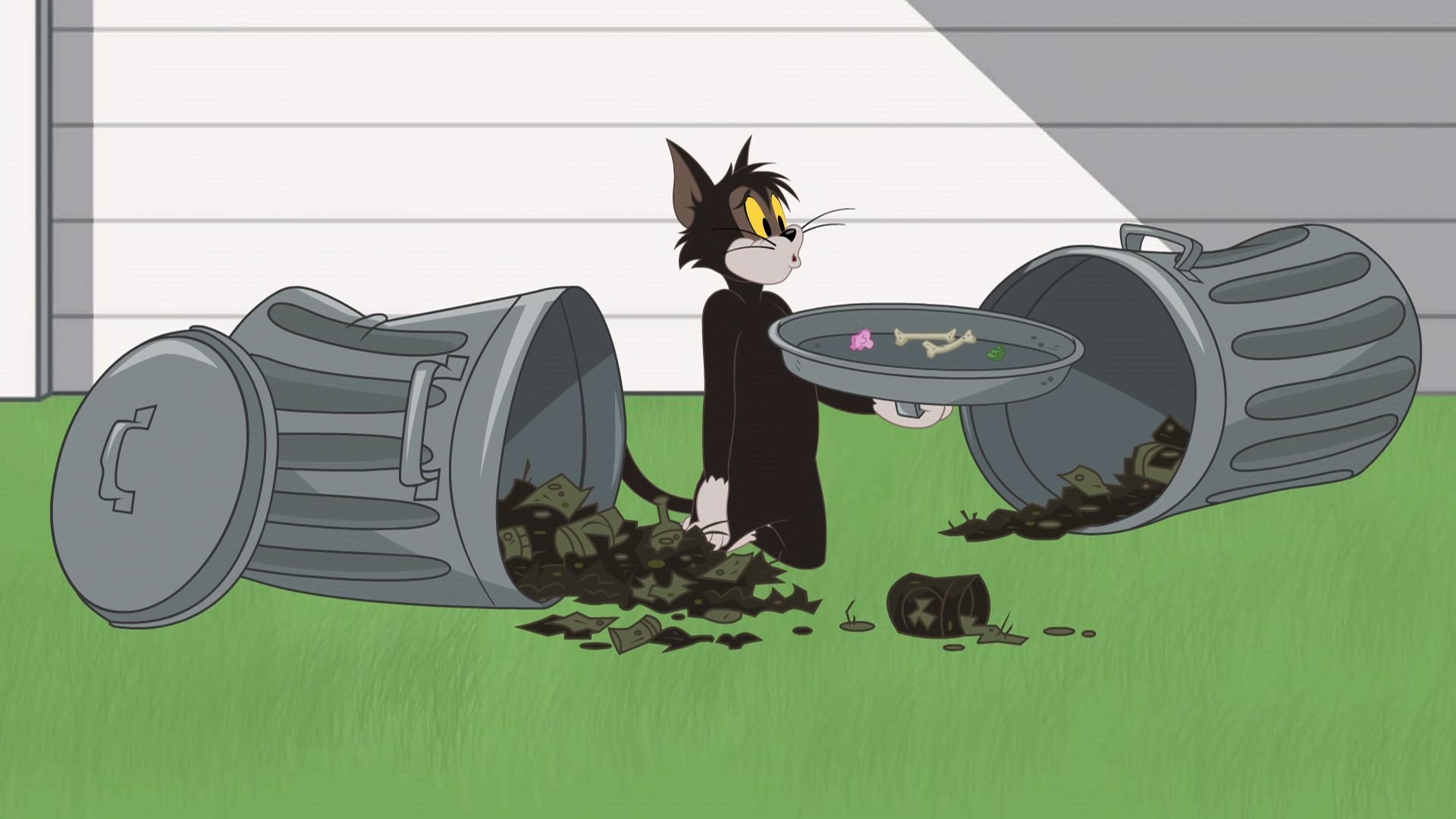 The Tom and Jerry Show 2016  [S02E46] - Tail of Two Kitties