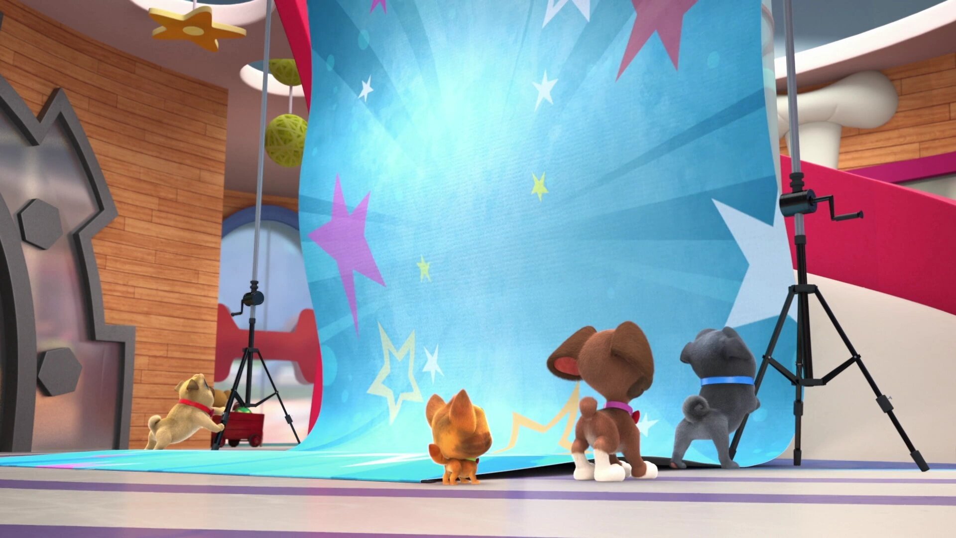 Puppy Dog Pals 2022  [S05E07] - Family Pet Picture Day