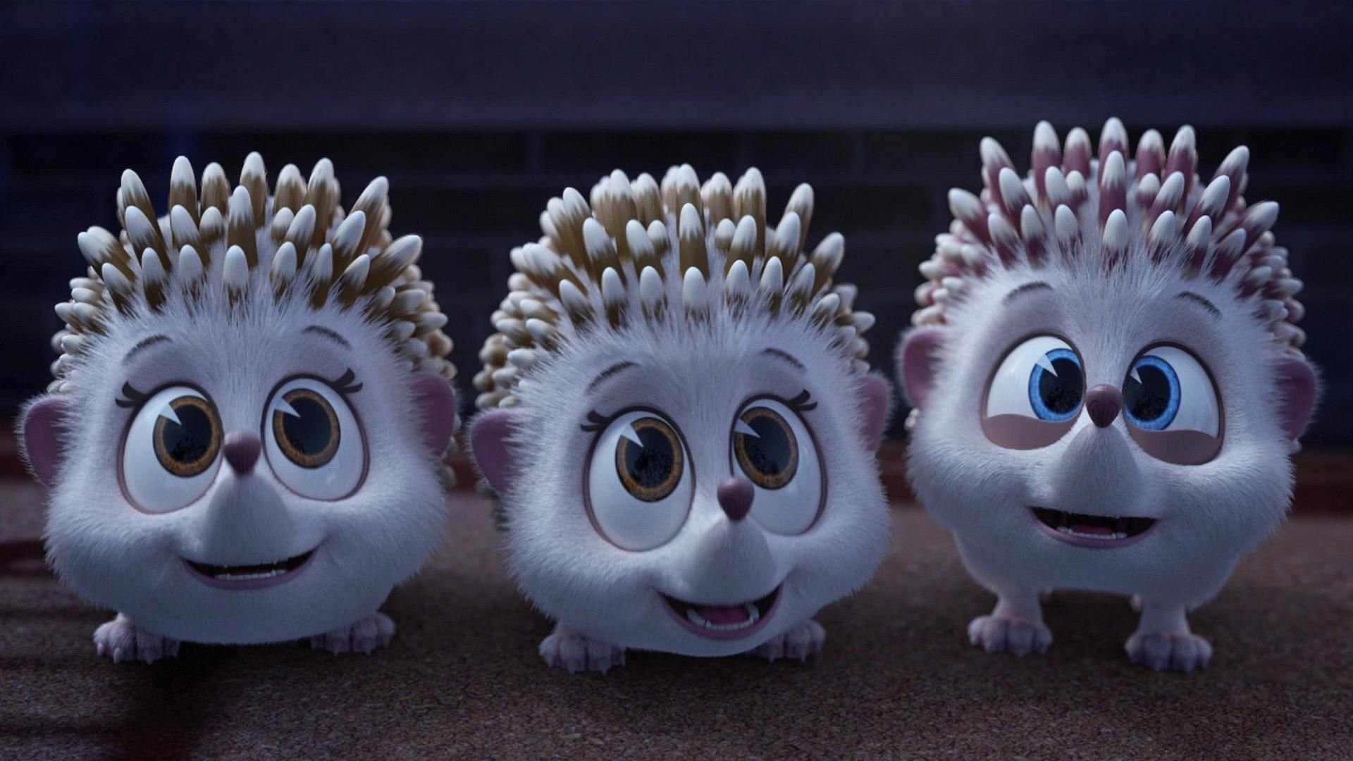 Madagascar: A Little Wild 2020  [S02E04] - Hedgehog Sitters Club