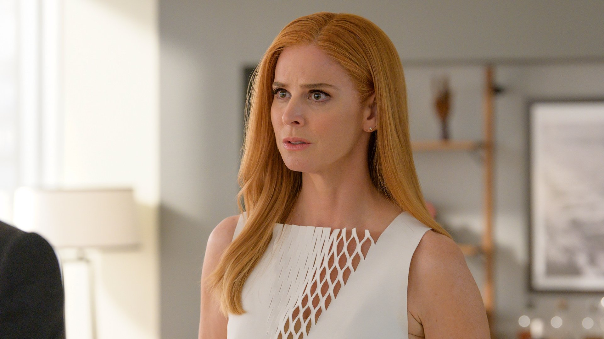 Suits 2019  [S09E02] - Special Master