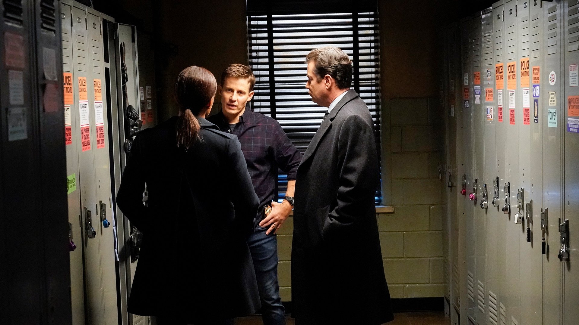 Blue Bloods 2019  [S10E15] - Vested Interests