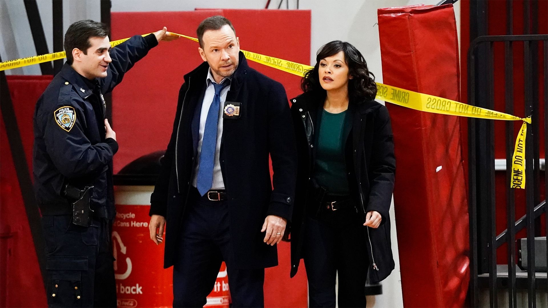 Blue Bloods 2018  [S09E12] - Milestones