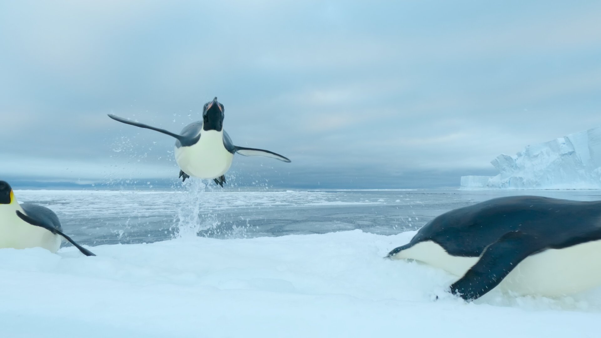 Our Oceans 2024  [S01E05] - Southern Ocean