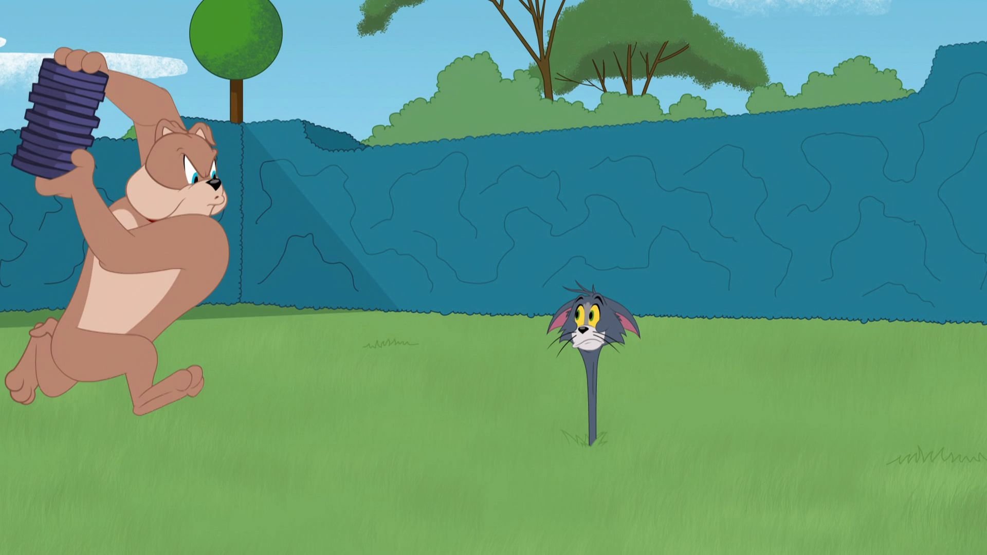 The Tom and Jerry Show 2016  [S02E54] - Tic-Tyke-D'oh