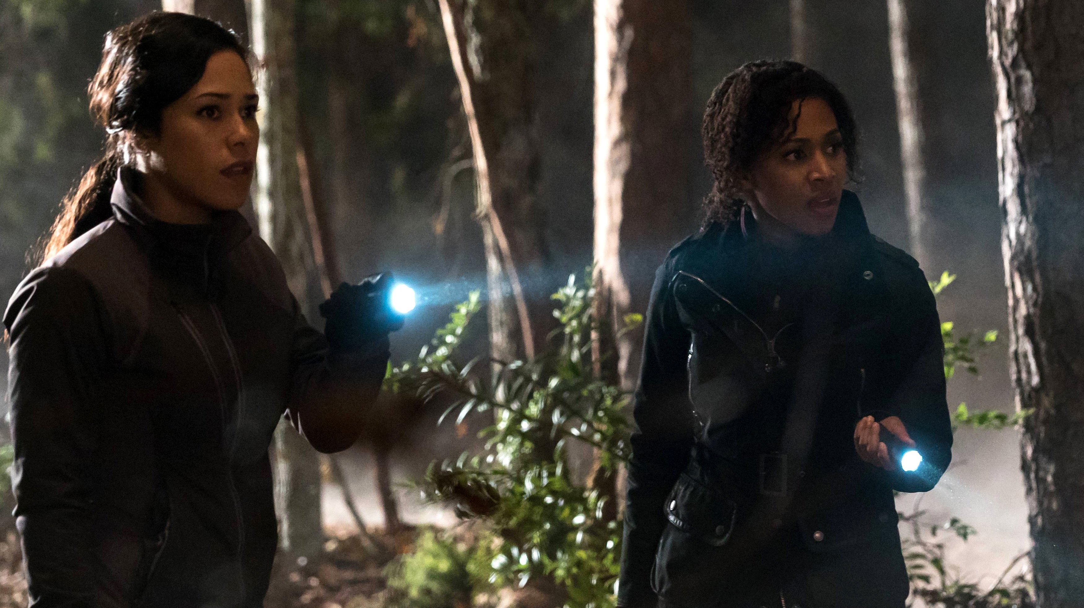 Sleepy Hollow 2015  [S03E14] - Into the Wild