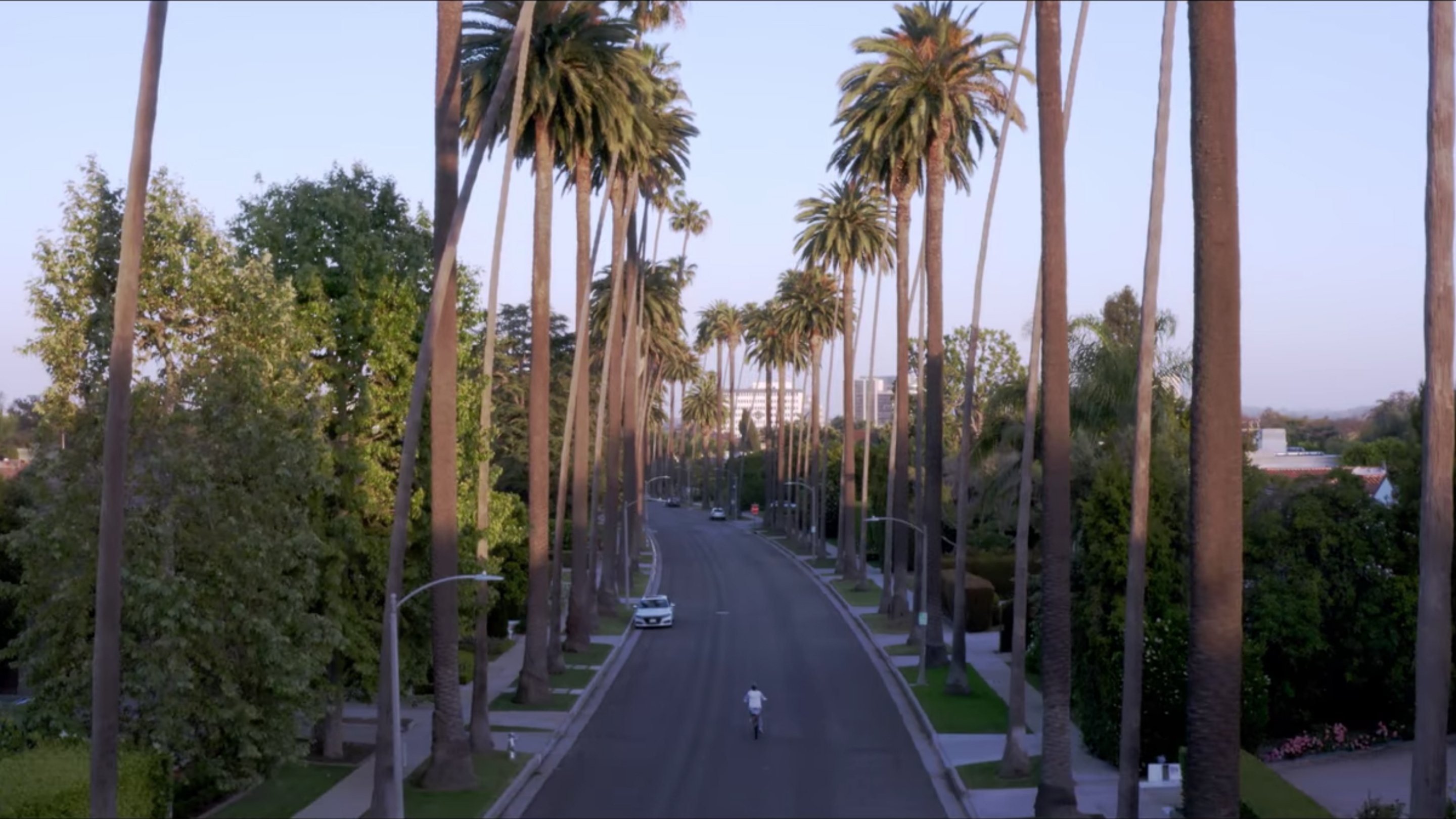 Homemade 2020  [S01E17] - Ana Lily Amirpour
