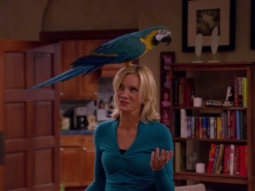 Dog with a Blog 2012  [S01E07] - The Parrot Trap
