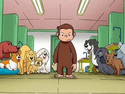 Curious George 2006  [S01E17] - Curious George, Dog Counter