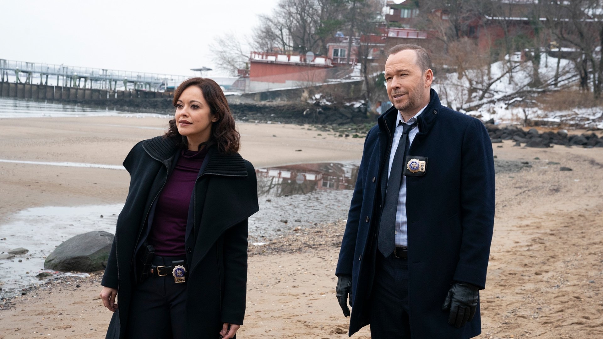 Blue Bloods 2020  [S11E08] - More Than Meets the Eye