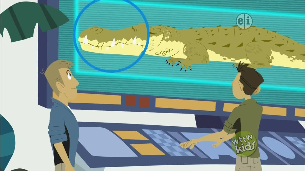 Wild Kratts 2014  [S03E11] - Crocogator Contest