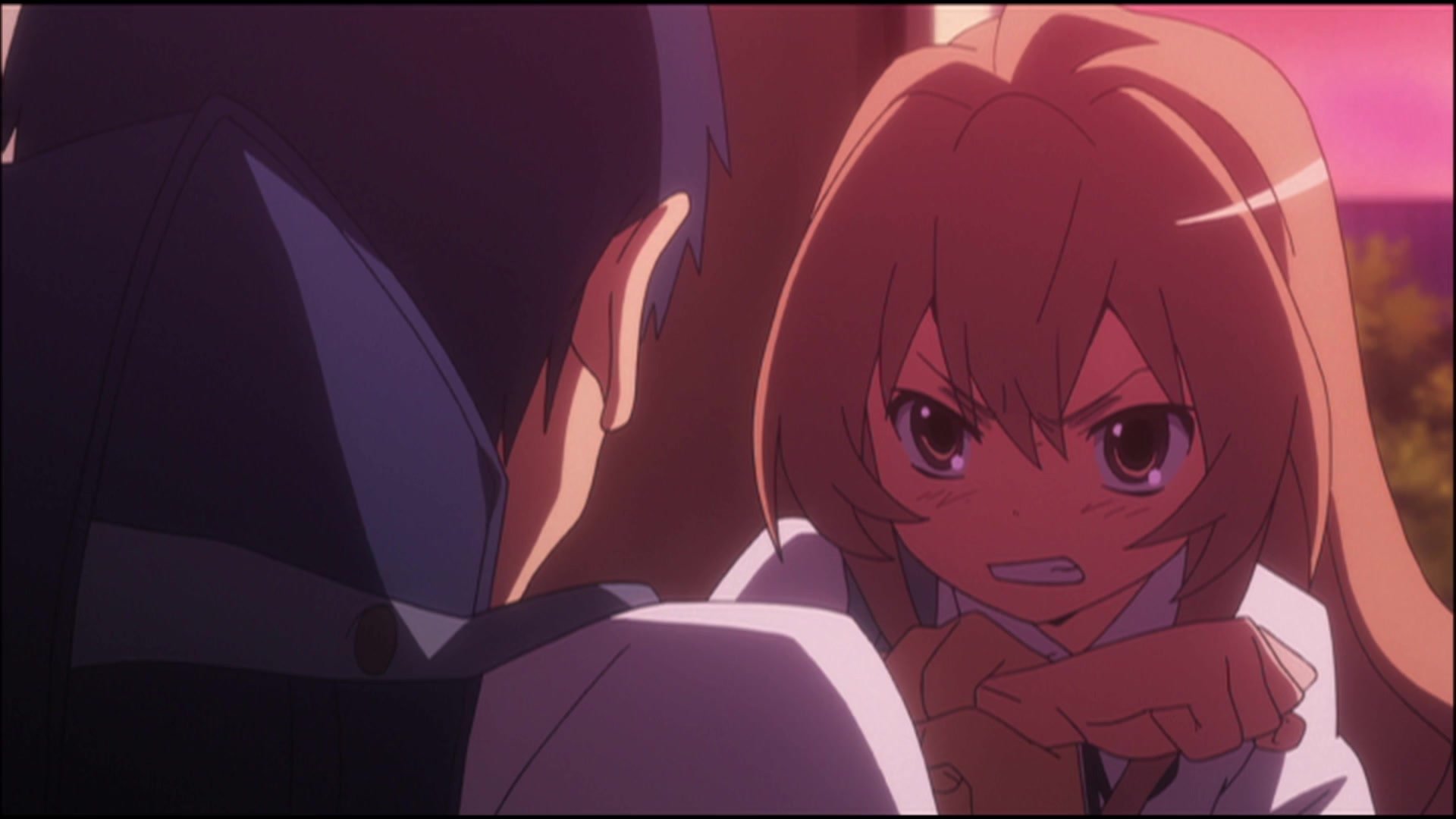 Toradora! 2008  [S01E11] - Ohashi High School Culture Festival 1