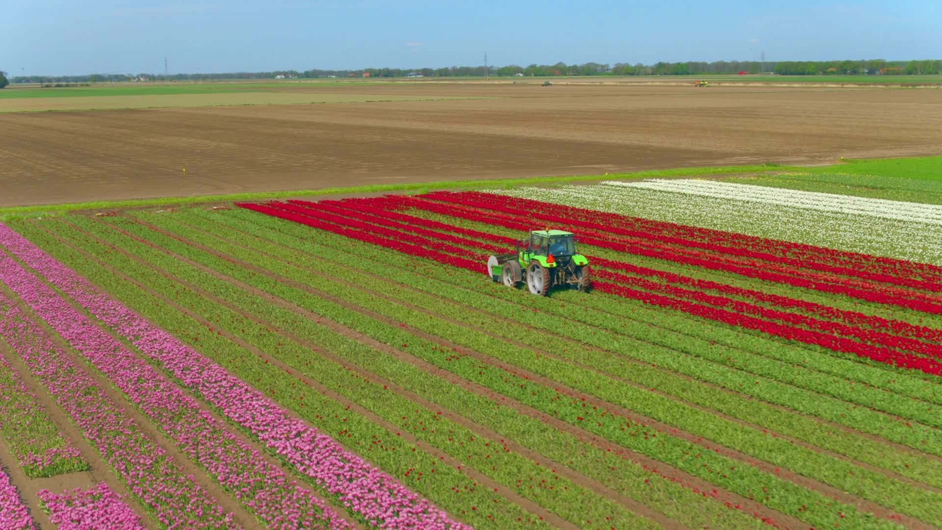 Europe from Above 2019  [S01E01] - The Netherlands