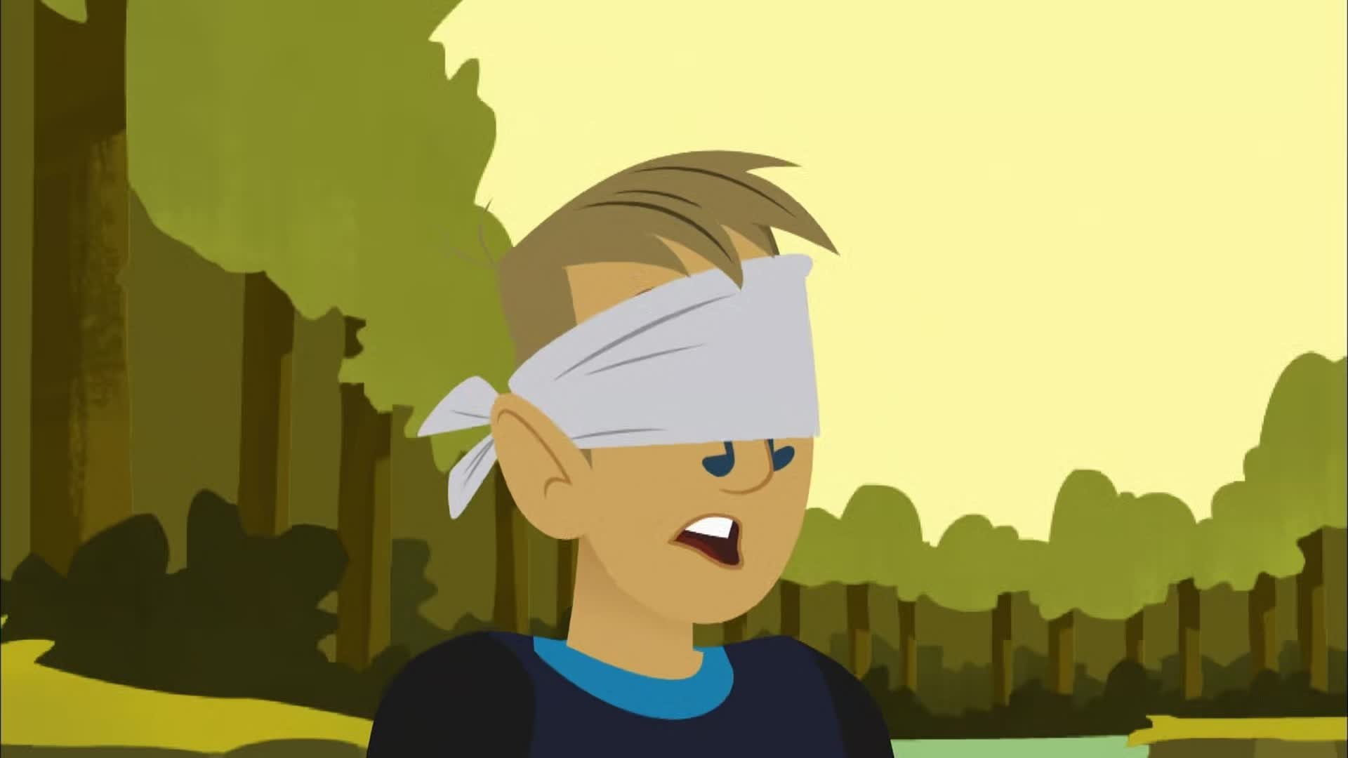 Wild Kratts 2010  [S01E06] - Platypus Café