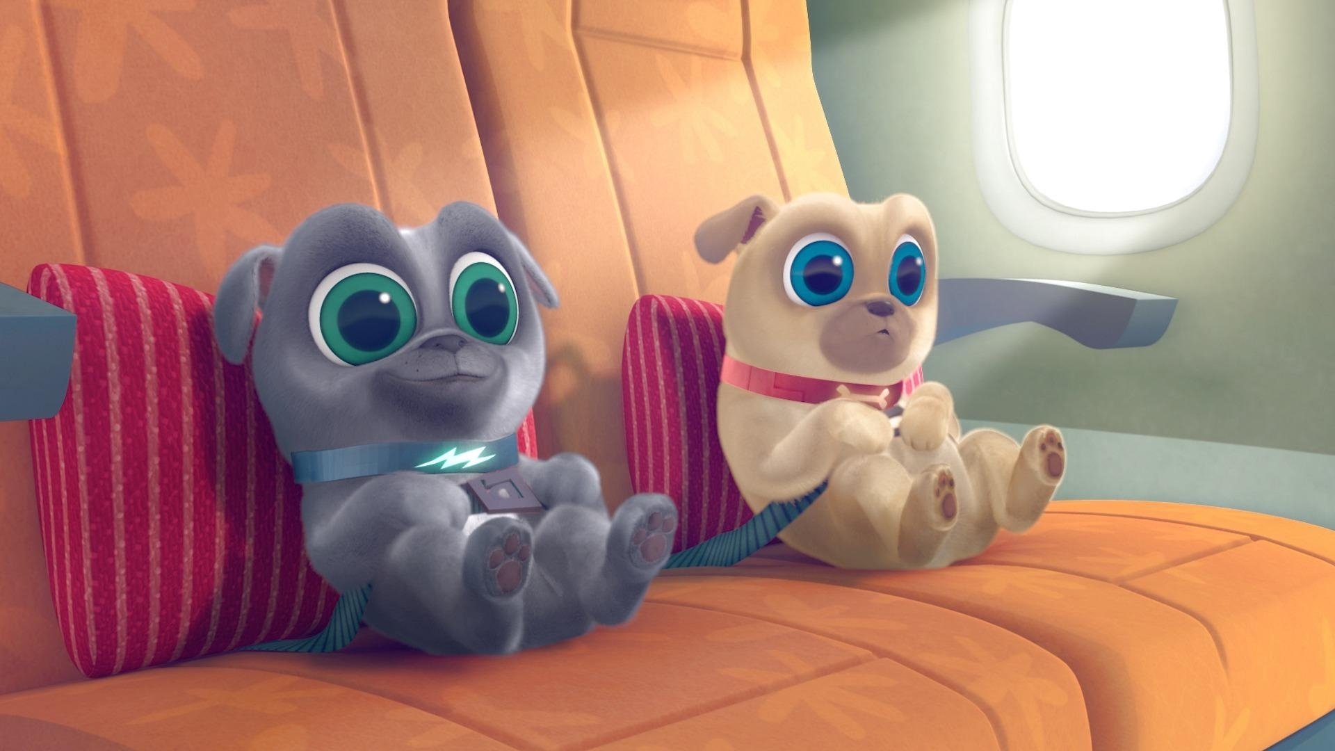 Puppy Dog Pals 2017  [S01E01] - Hawaii Pug-Oh