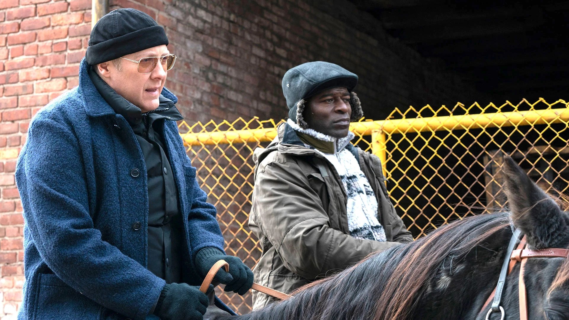 The Blacklist 2019  [S07E11] - Victoria Fenberg