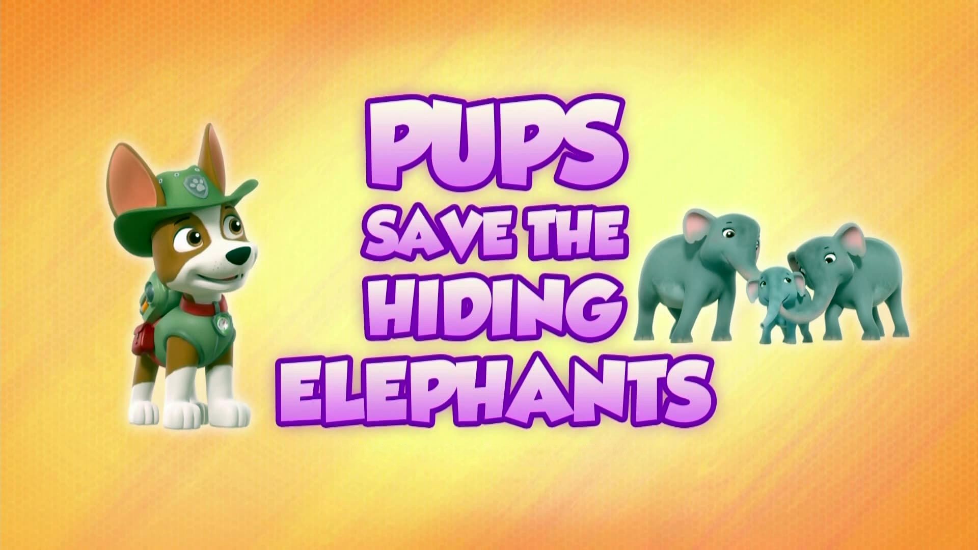 PAW Patrol 2021  [S08E18] - Pups Save the Hiding Elephants