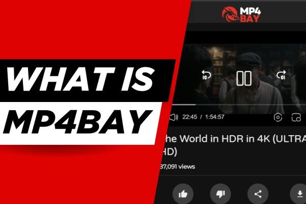 What is MP4Bay?