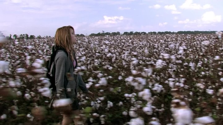 Pulse 3 2008 Hindi-English 720p BluRay x264 