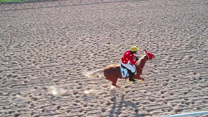 Winner Shoorveer 2017 Hindi - Telugu Dual Audio UnCut Movie HD ESub