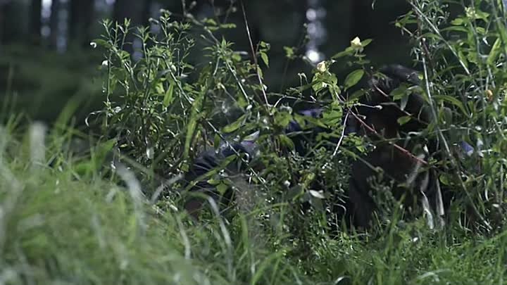 Undekhi S02 2022 Hindi Completed Web Series HEVC ESub