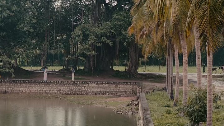 Sir 2024 Hindi  Tamil Dual Audio South UnCut Movie HD ESub