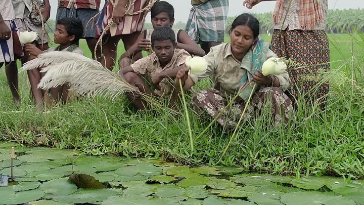 Vaazhai 2024 Hindi  Tamil Dual Audio UnCut South Movie HD ESub