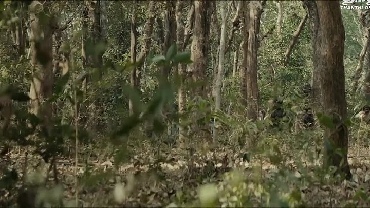 Gowli 2023 Hindi  Tamil Dual Audio UnCut Movie HD ESub