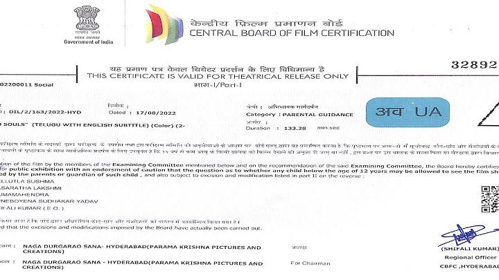 Two Souls 2023 Hindi  Telugu Dual Audio UnCut Movie HD ESub