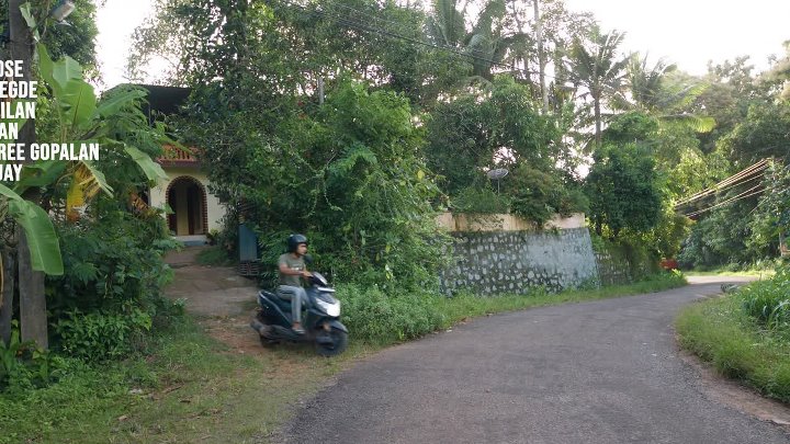 Premalu 2024 Hindi  Malayalam Dual Audio UnCut Movie HD ESub