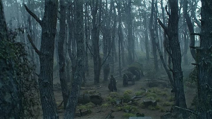 The Lord of the Rings S01 2022 Hindi  English Dual Audio Completed Web Series HEVC ESub