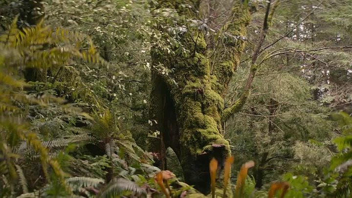 65 2023 Hollywood Hindi   English Dual Audio Full Movie HD ESub