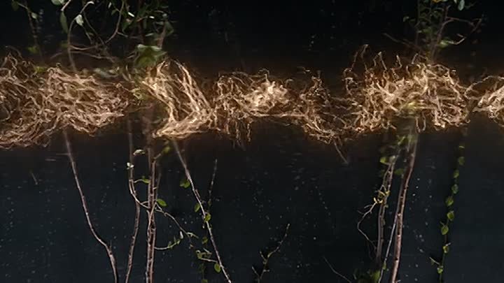 3 Body Problem S01 2024 Hindi  English Dual Audio Completed Web Series HEVC ESub