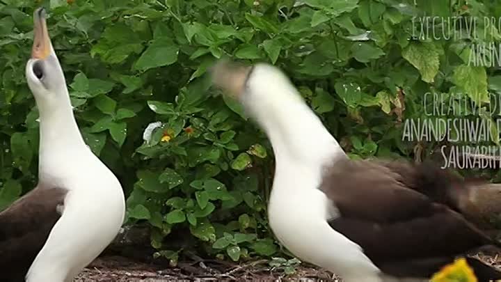 Yeh Meri Family S01 2018 Hindi Completed Web Series HEVC ESub