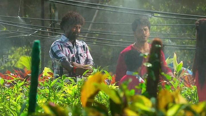 Main Hoon Rakshak Paayum Puli 2015 Hindi  Tamil Dual Audio UnCut Movie HD ESub