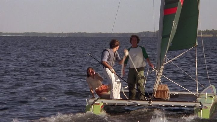 Jaws 2 1978 Hindi-English 1080p BluRay x264 