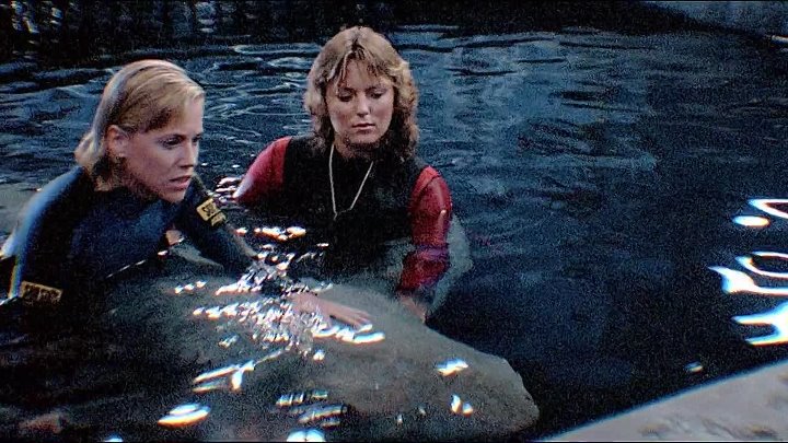Jaws 3-D 1983 Hindi-English 1080p BluRay x264 